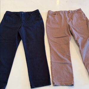 Gloria Vanderbilt Amanda Classic Jeans 14 SHORT